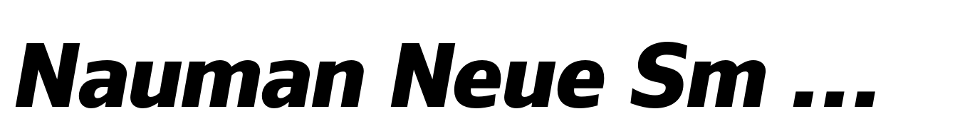 Nauman Neue Sm Condensed Extra Bold Italic